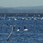 Ecoturismo en Rocha