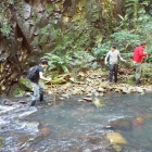 Ecoturismo en Valle del Lunarejo