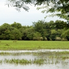 Parque Esteros de Farrapos e Islas sobre el Río Uruguay